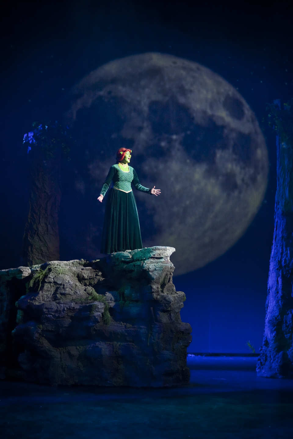 Shrek - Gdynia / Polska 2012 (3)