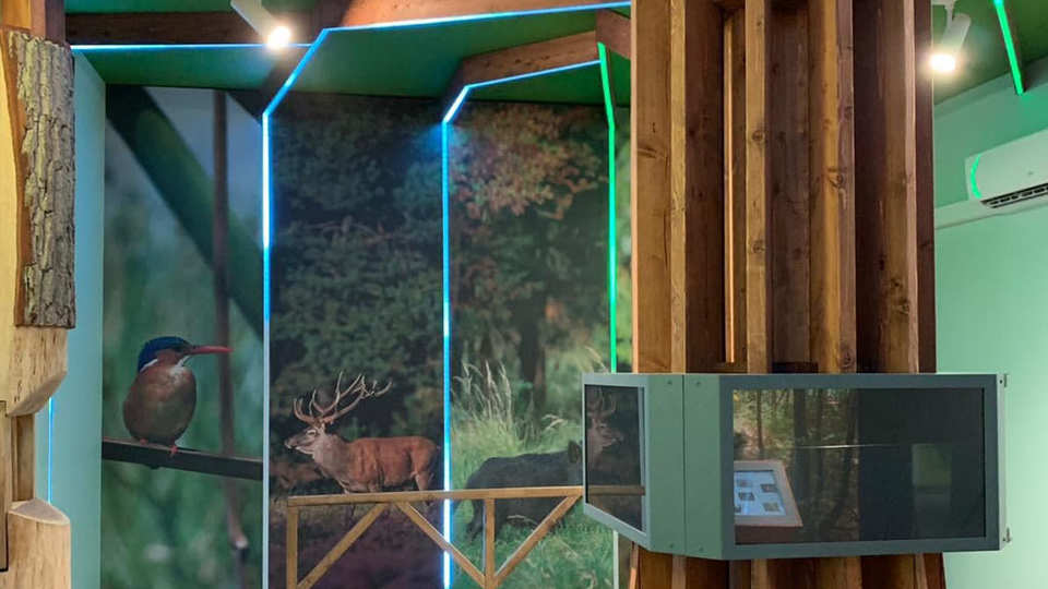 Drawieński Park Narodowy - Drawno / Polska 2019 (1)