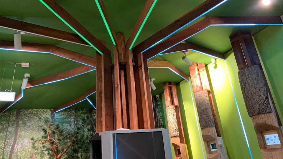 Drawieński Park Narodowy - Drawno / Polska 2019 (2)