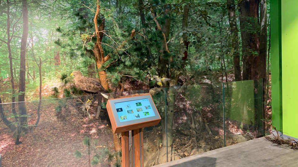 Drawieński Park Narodowy - Drawno / Polska 2019 (3)