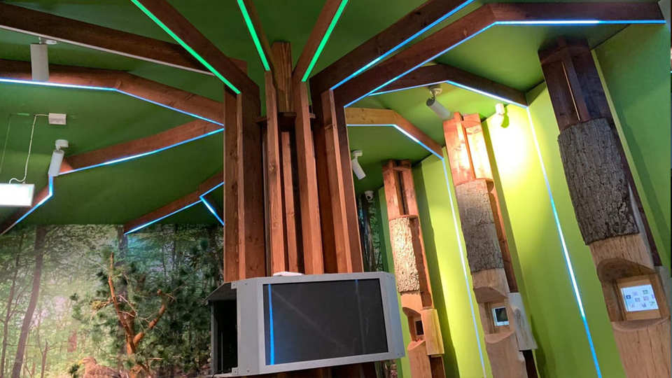 Drawieński Park Narodowy - Drawno / Polska 2019 (8)