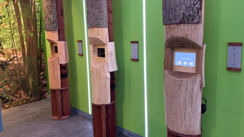 Drawieński Park Narodowy - Drawno / Polska 2019 (13)