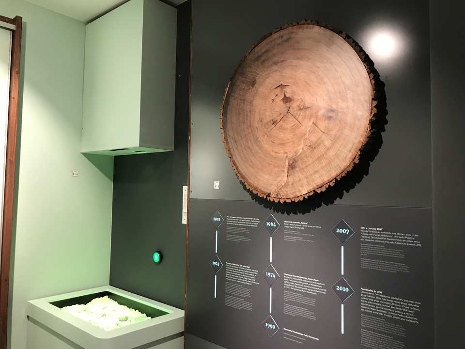 Drawieński Park Narodowy - Drawno / Polska 2019 (19)