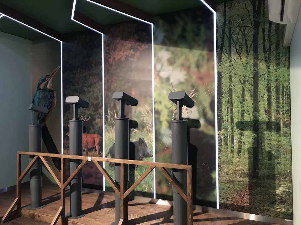Drawieński Park Narodowy - Drawno / Polska 2019 (17)