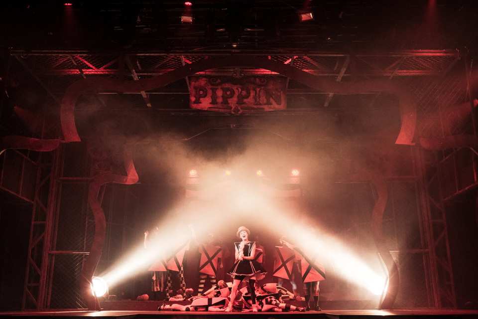 Pippin - Poznań / Polska 2019 (5)