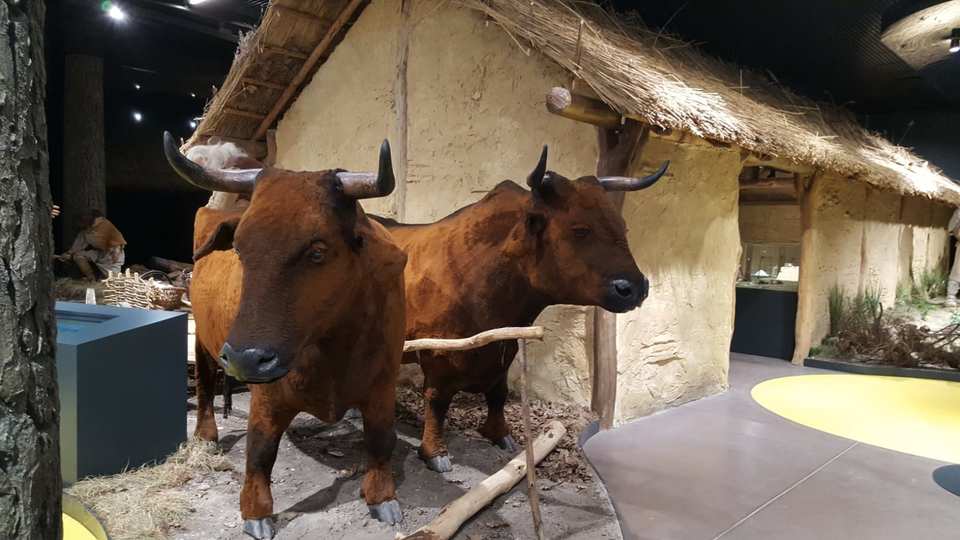 Muzeum Archeologiczne i Rezerwat Krzemionki - Ostrowiec Świetokrzyski / Polska 2021 (3)