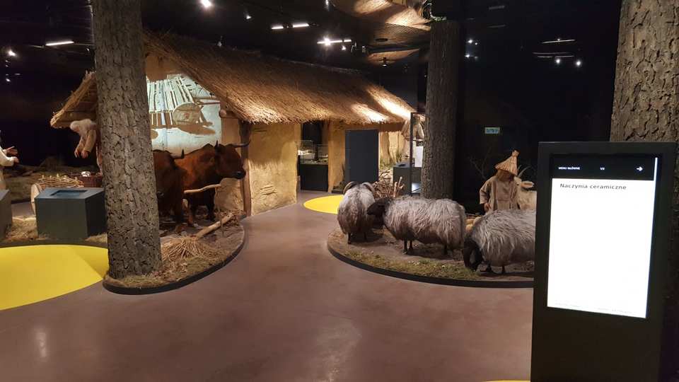 Muzeum Archeologiczne i Rezerwat Krzemionki - Ostrowiec Świetokrzyski / Polska 2021 (11)