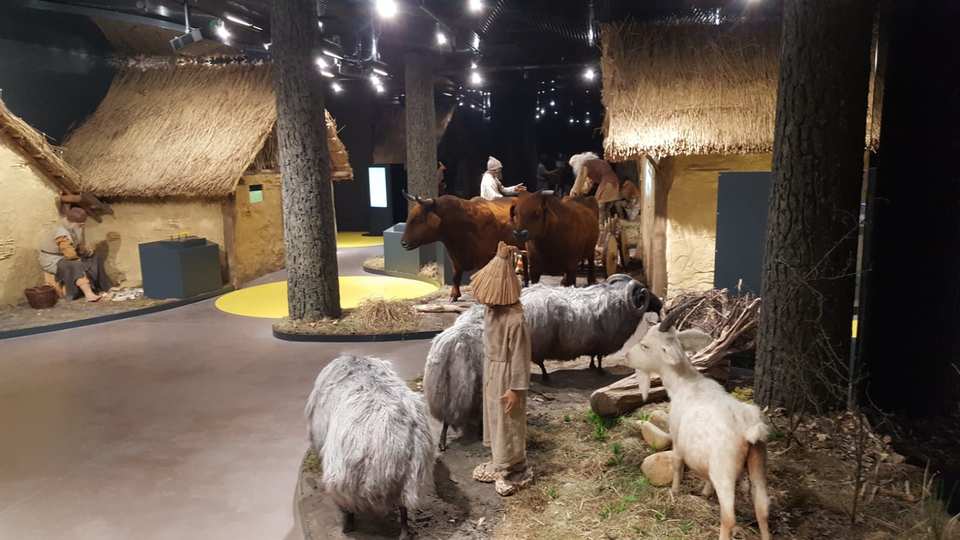 Muzeum Archeologiczne i Rezerwat Krzemionki - Ostrowiec Świetokrzyski / Polska 2021 (15)