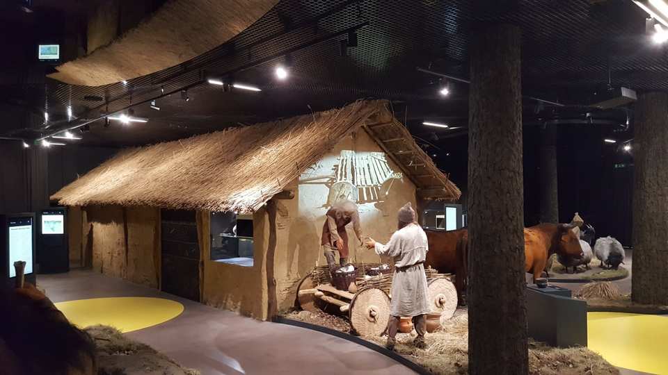 Muzeum Archeologiczne i Rezerwat Krzemionki - Ostrowiec Świetokrzyski / Polska 2021 (20)